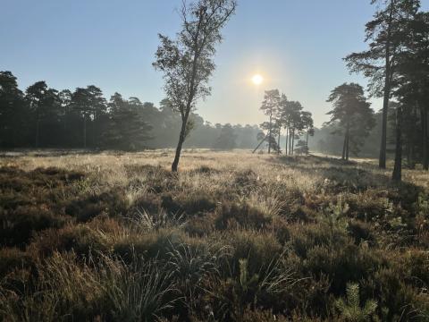 Kroondomein Het Loo